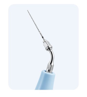 insert endo E1+ 10 endo files