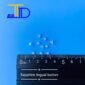 10 Sapphire lingual bouton